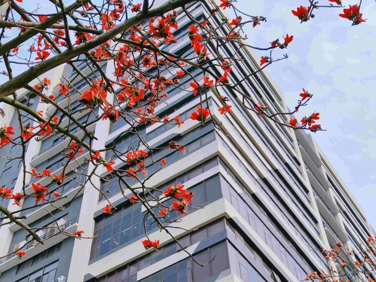 Factory building with red flowers in foreground